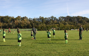 56425b4320ea8_IMG2517.JPG