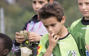 56657c309f79e_14.11.2015ALPfootU1197.jpg